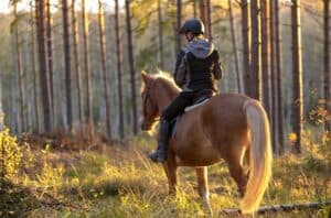 horseback-riding-scaled